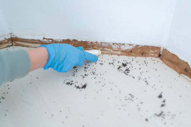 Best Wildlife Control Services  in Snowflake, AZ